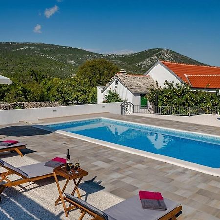 House Camellia With Fenced Pool And Playground Blizna Donja Exterior foto