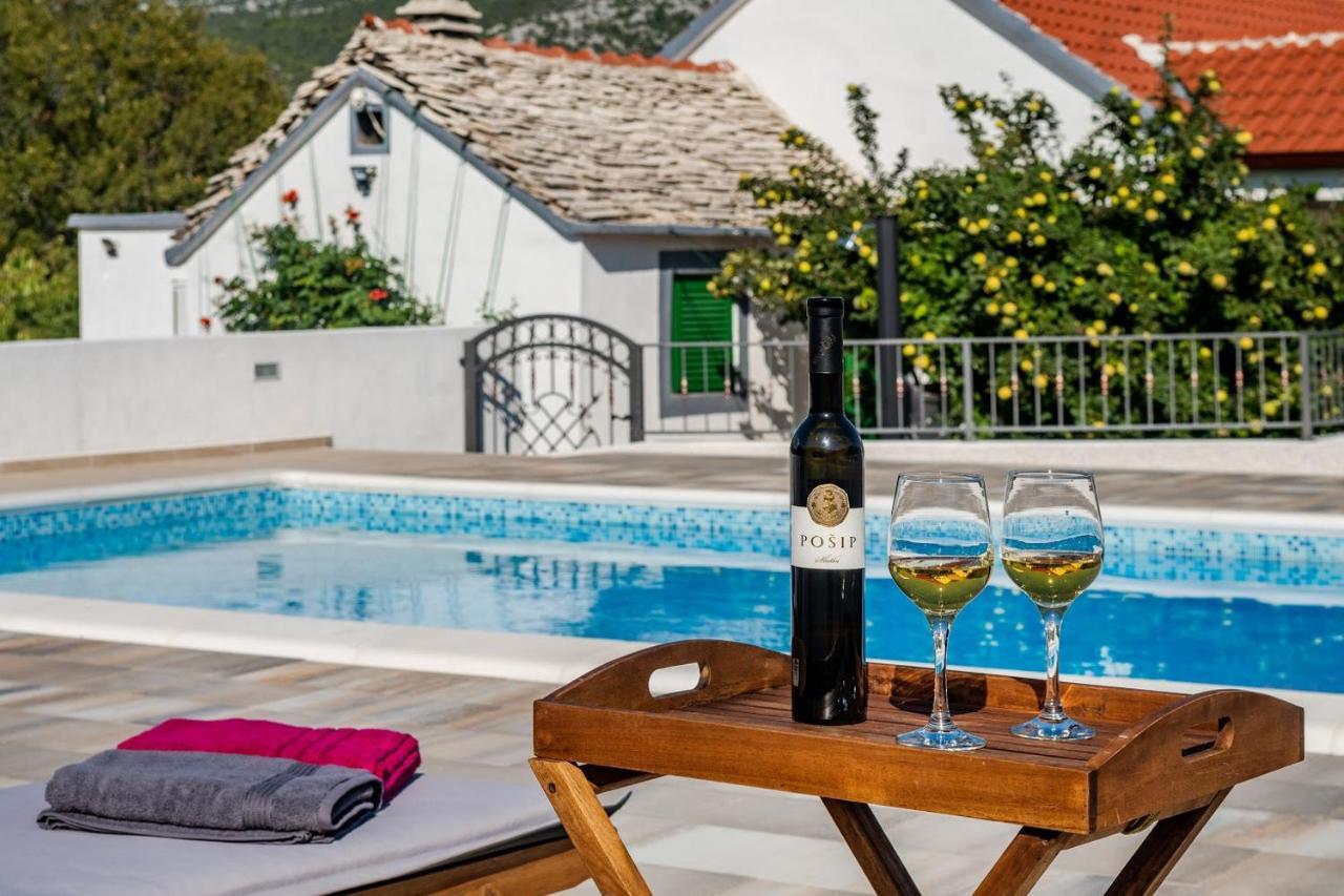 House Camellia With Fenced Pool And Playground Blizna Donja Exterior foto