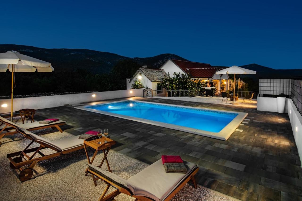 House Camellia With Fenced Pool And Playground Blizna Donja Exterior foto