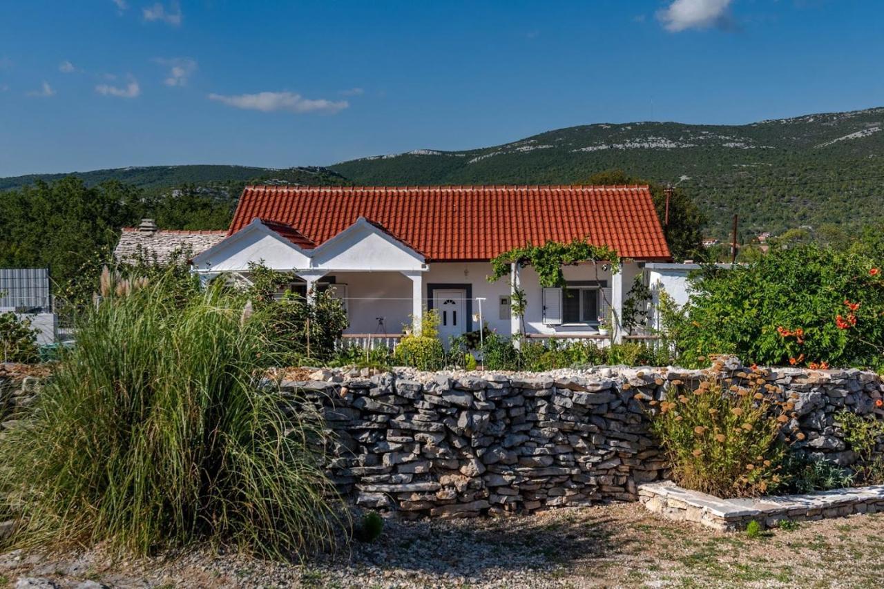 House Camellia With Fenced Pool And Playground Blizna Donja Exterior foto