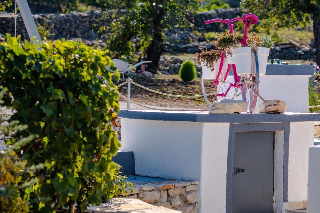House Camellia With Fenced Pool And Playground Blizna Donja Exterior foto