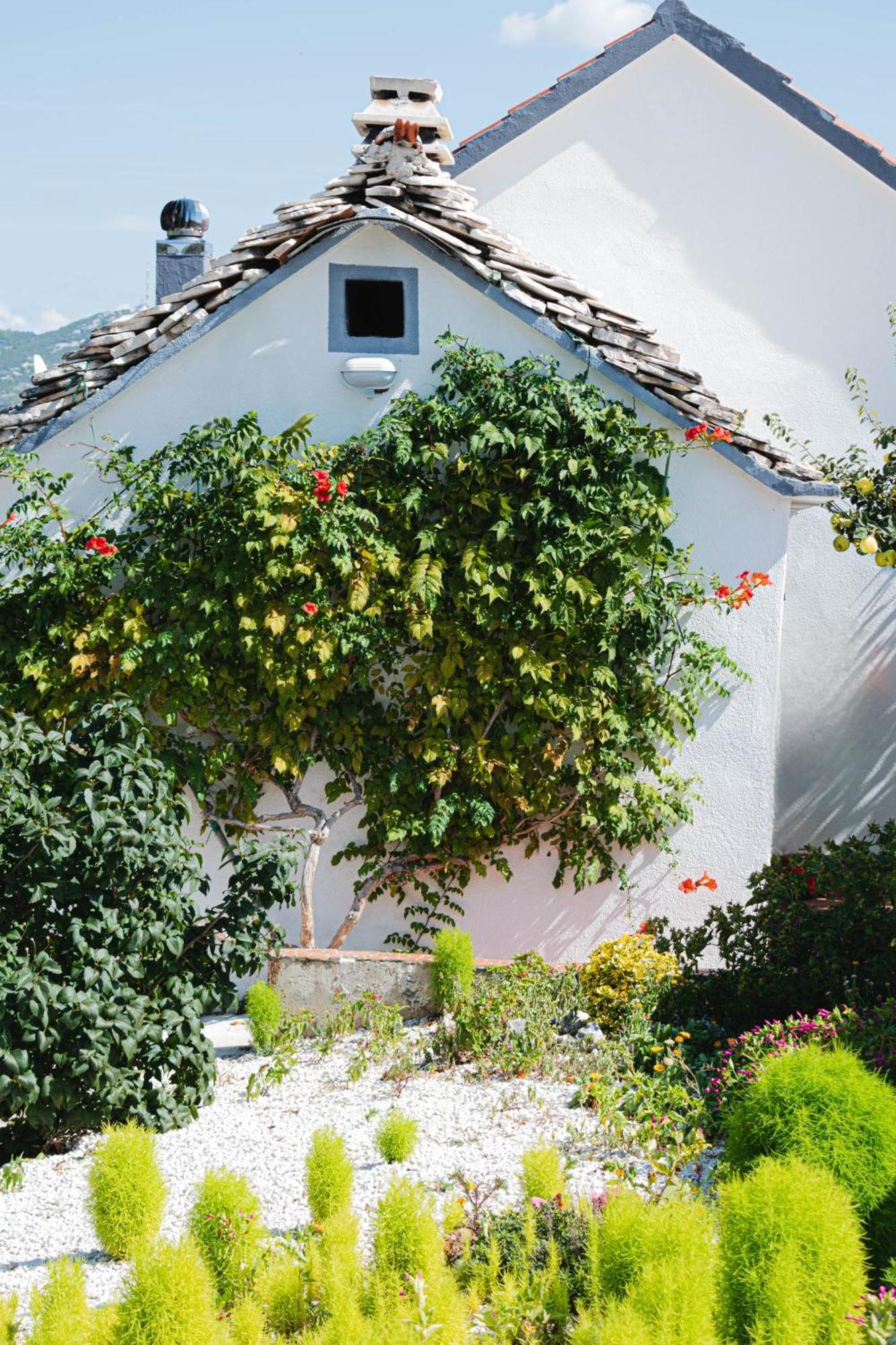 House Camellia With Fenced Pool And Playground Blizna Donja Exterior foto